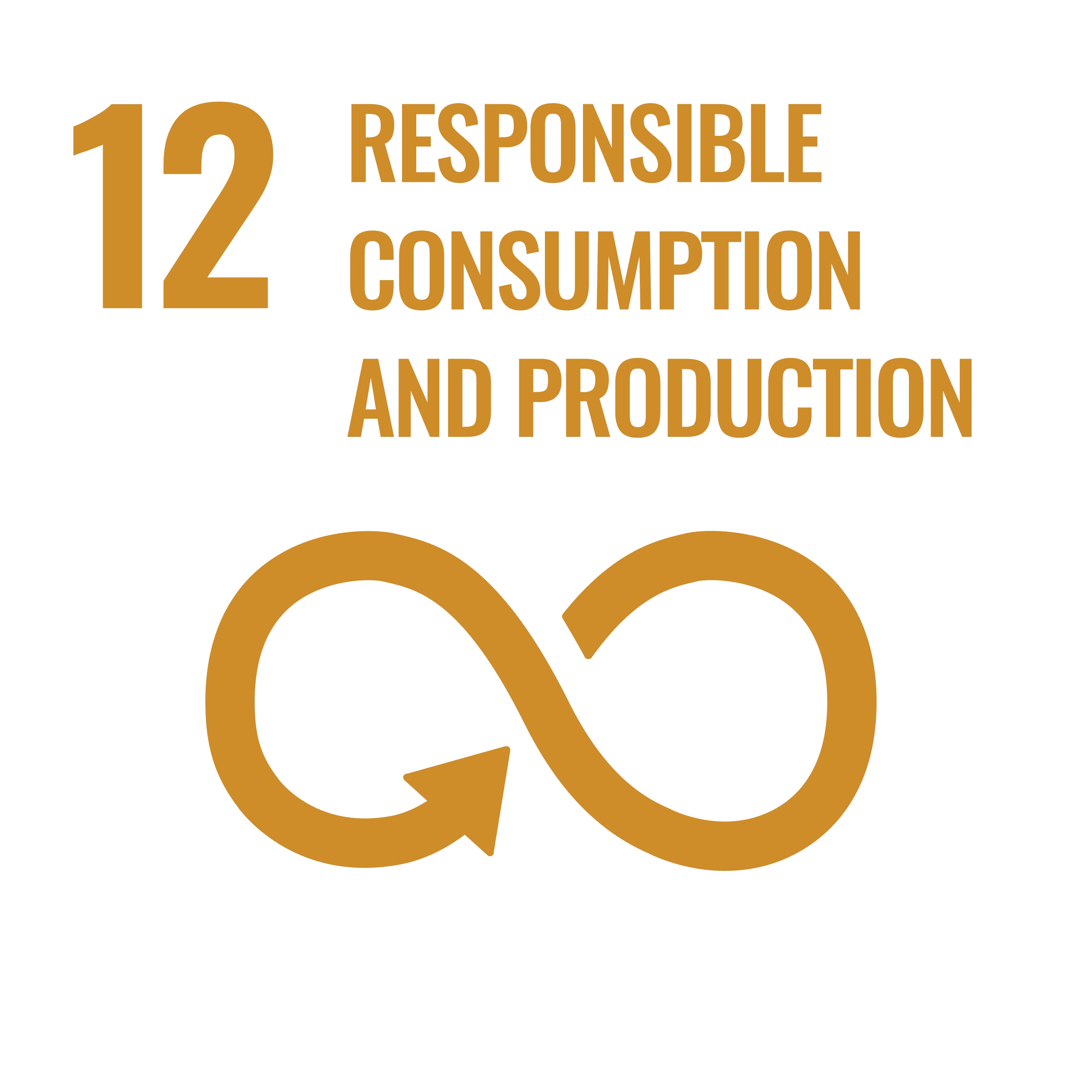 UN SDG 12 icon.