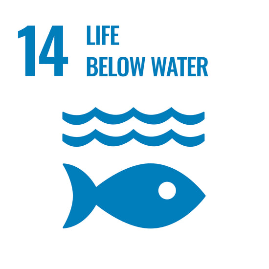 UN SDG 14 icon.