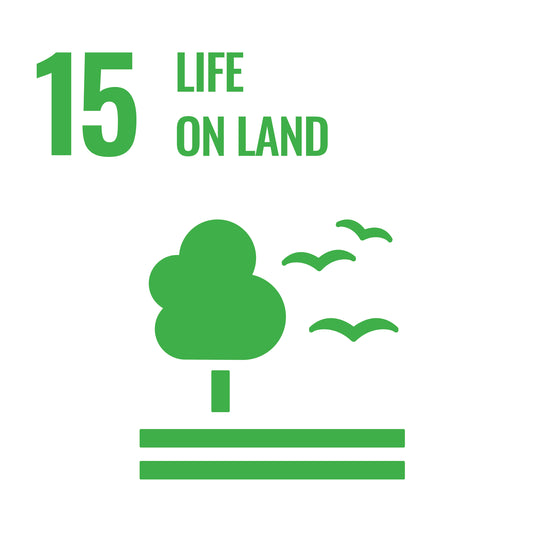 UN SDG 15 icon.