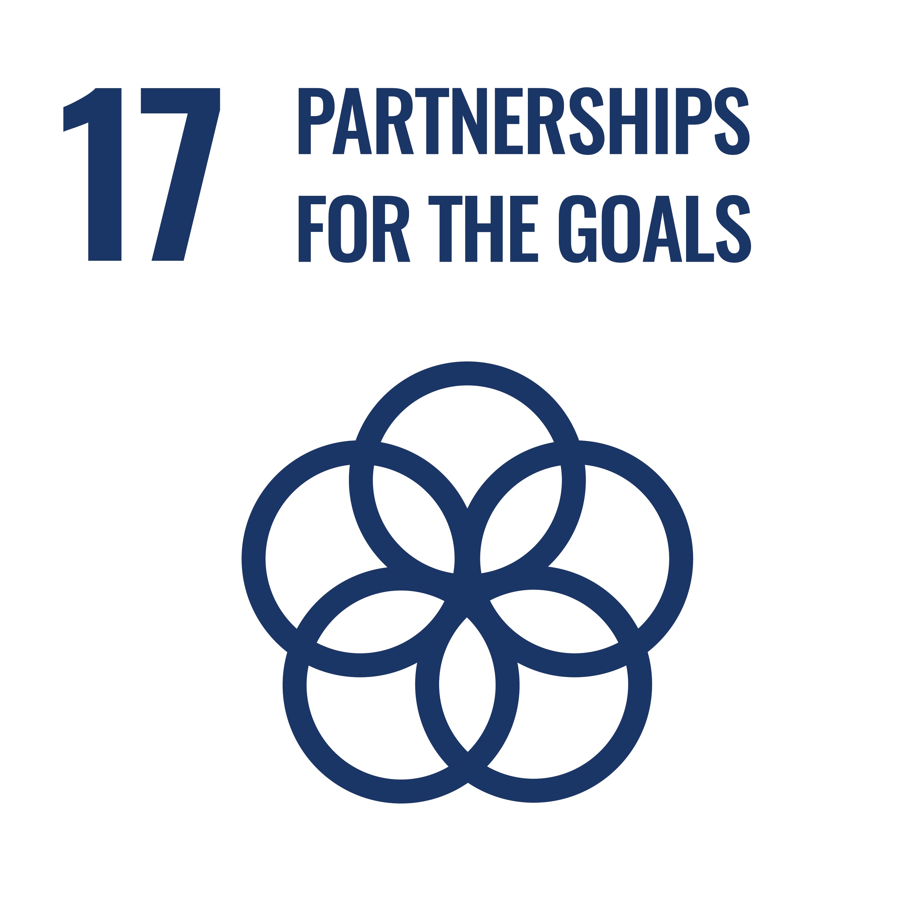UN SDG 17 icon.