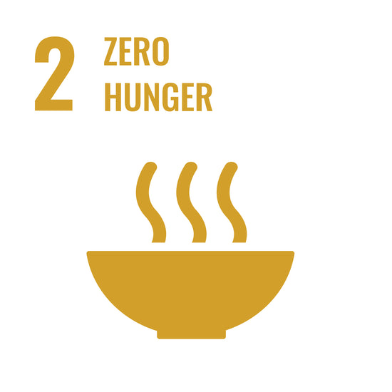 UN SDG 2 icon.